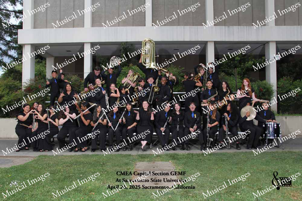 Musical Images